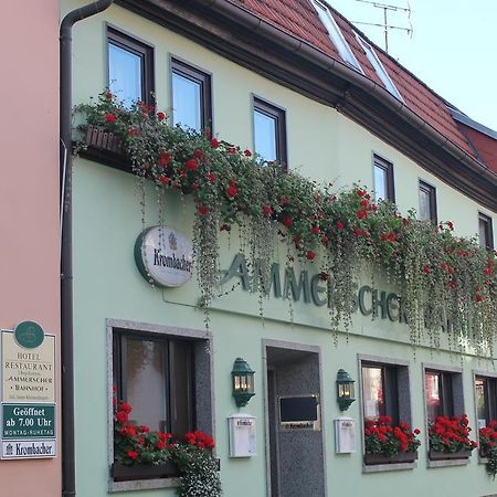 Ammerscher Bahnhof Muehlhausen  Luaran gambar